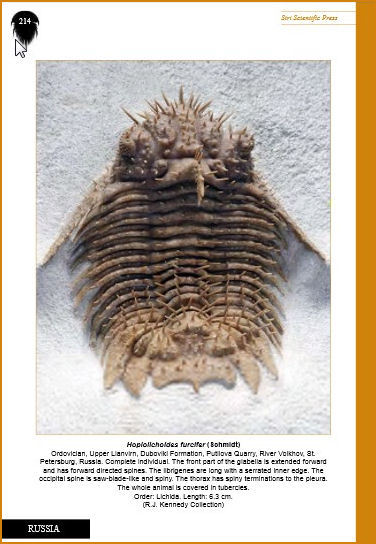 Trilobitesoftheworld-03