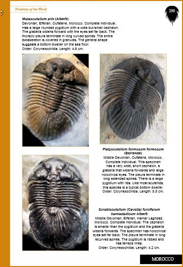 Trilobitesoftheworld-04