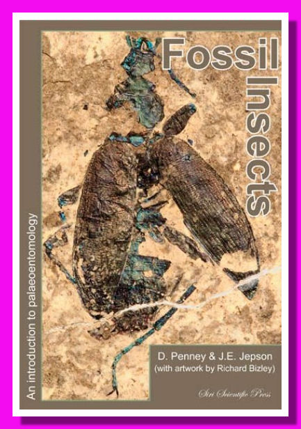 Fossil-Insects-01