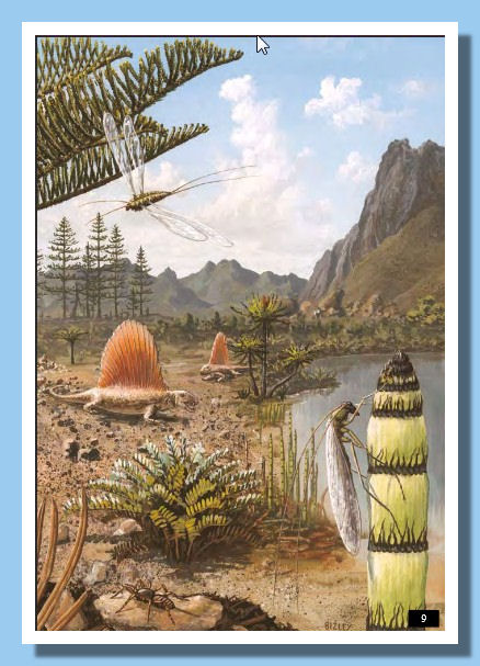 Fossil-Insects-02
