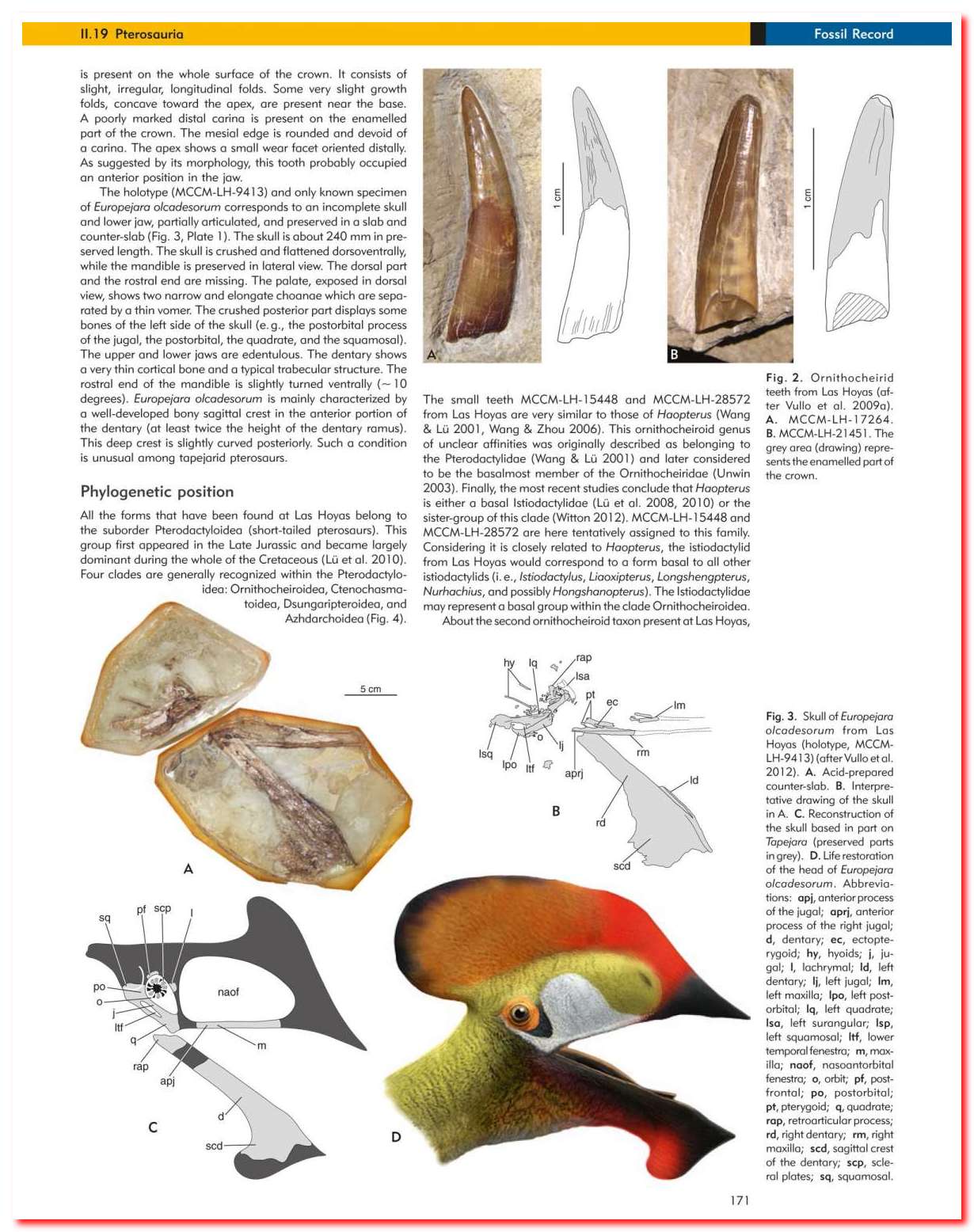 LasHoyas 05 Pterosauri di LasHoyas