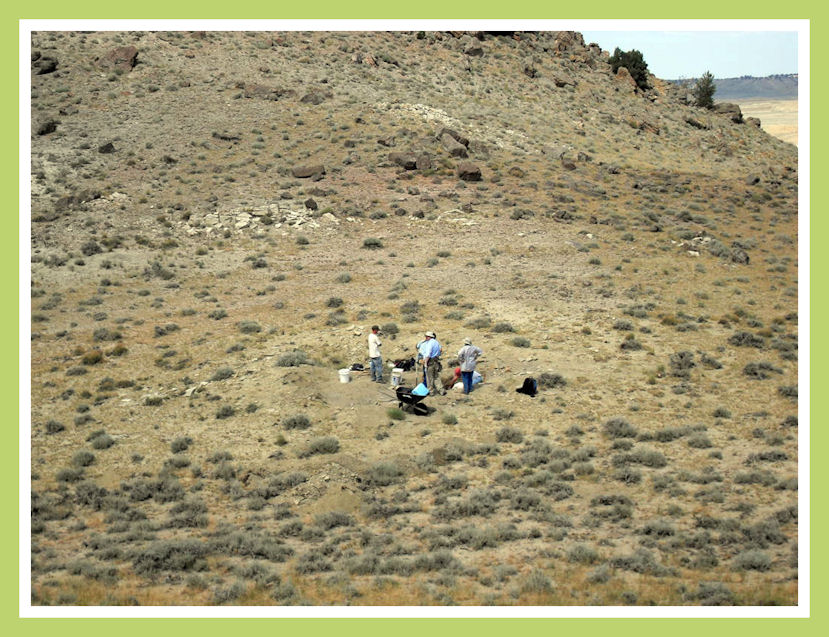 Rediscovery of the type locality