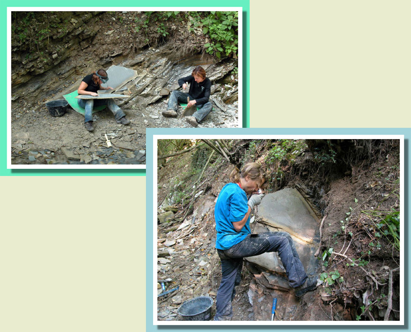 Monte San Giorgio Dig Site