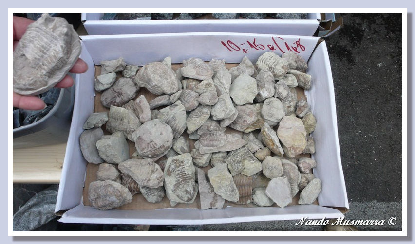 SainteaMarie2013-16Bis