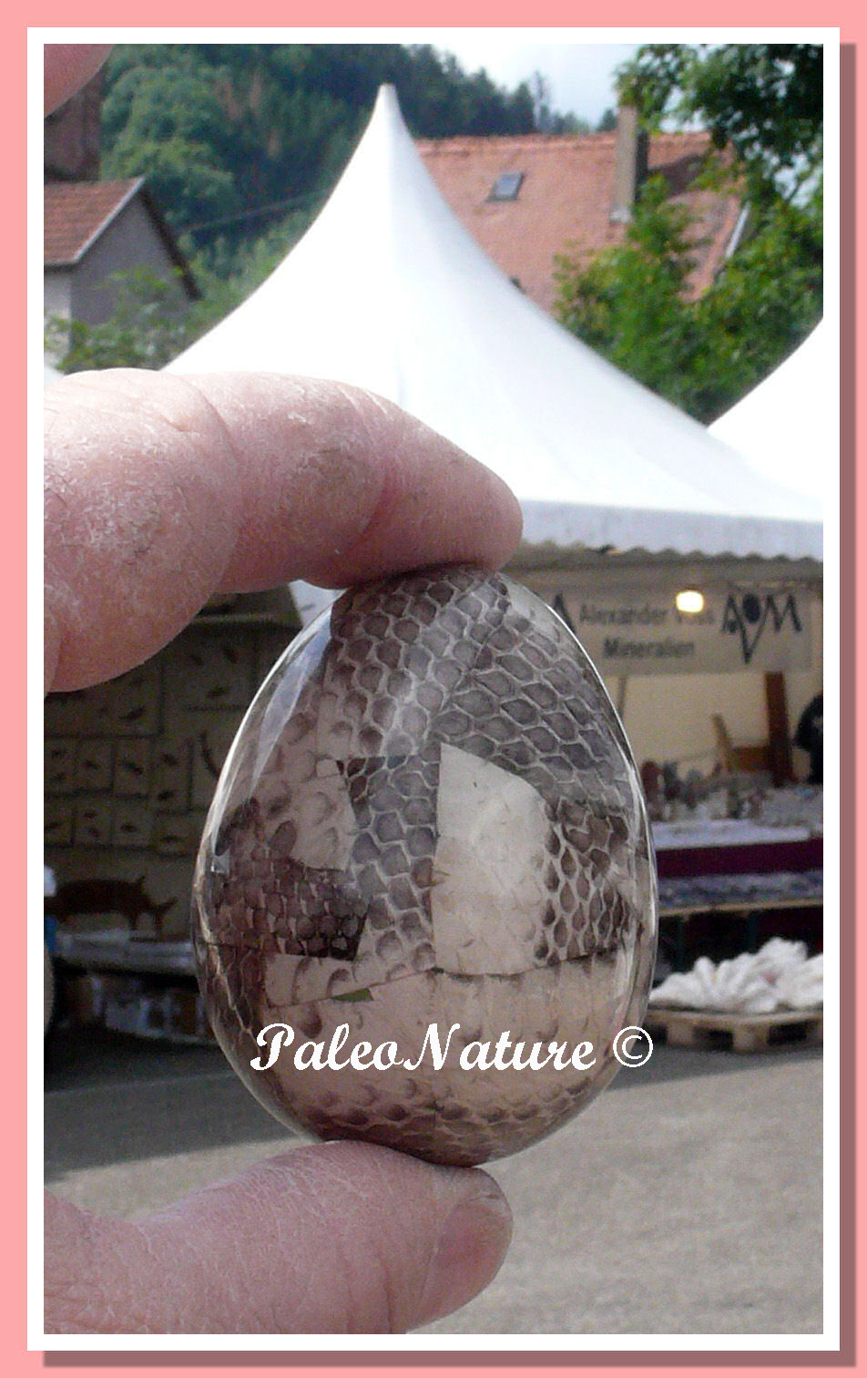 Uova di Drago - Dragon egg