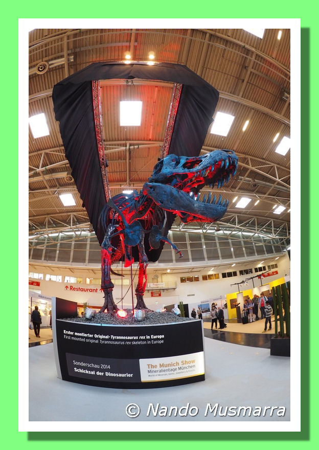T-RexMunich-05