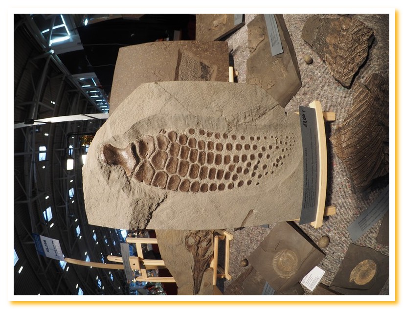 Mineralientage2016 01