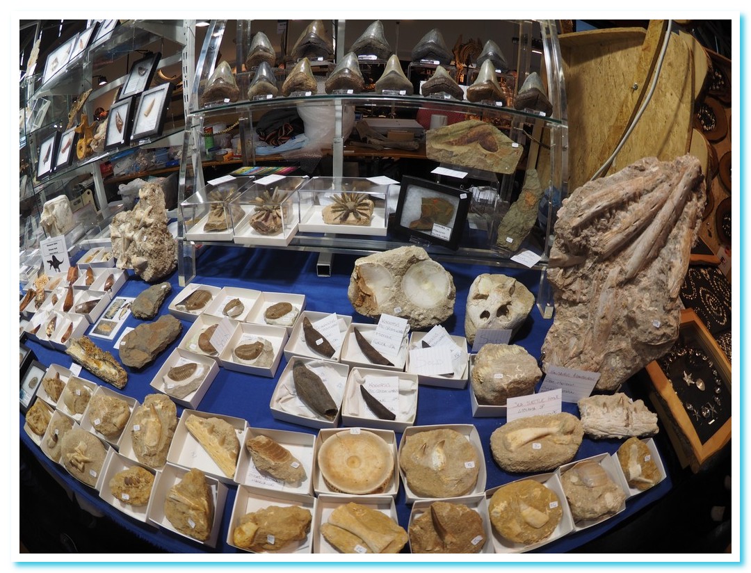 Mineralientage2016 02