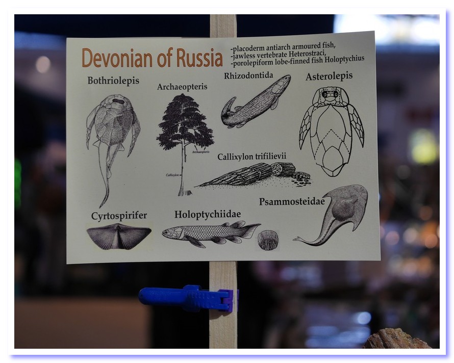 Mineralientage2016 07