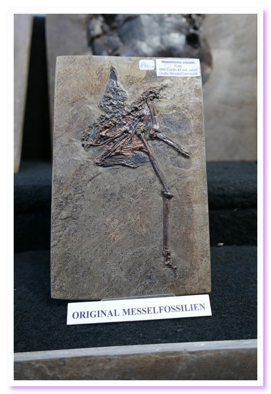 Mineralientage2016 08