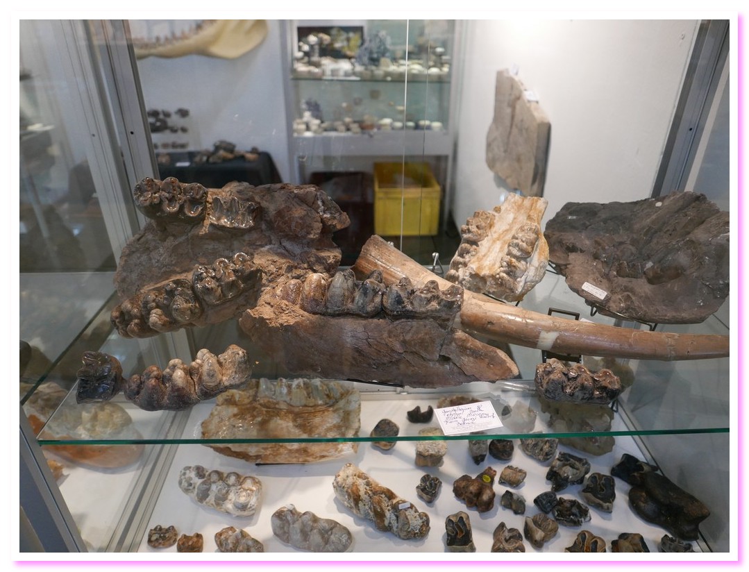 Mineralientage2016 09