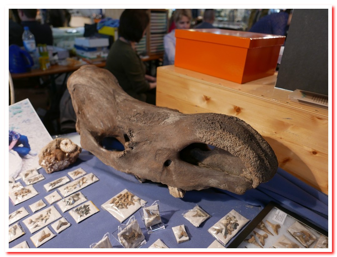 Mineralientage2016 11