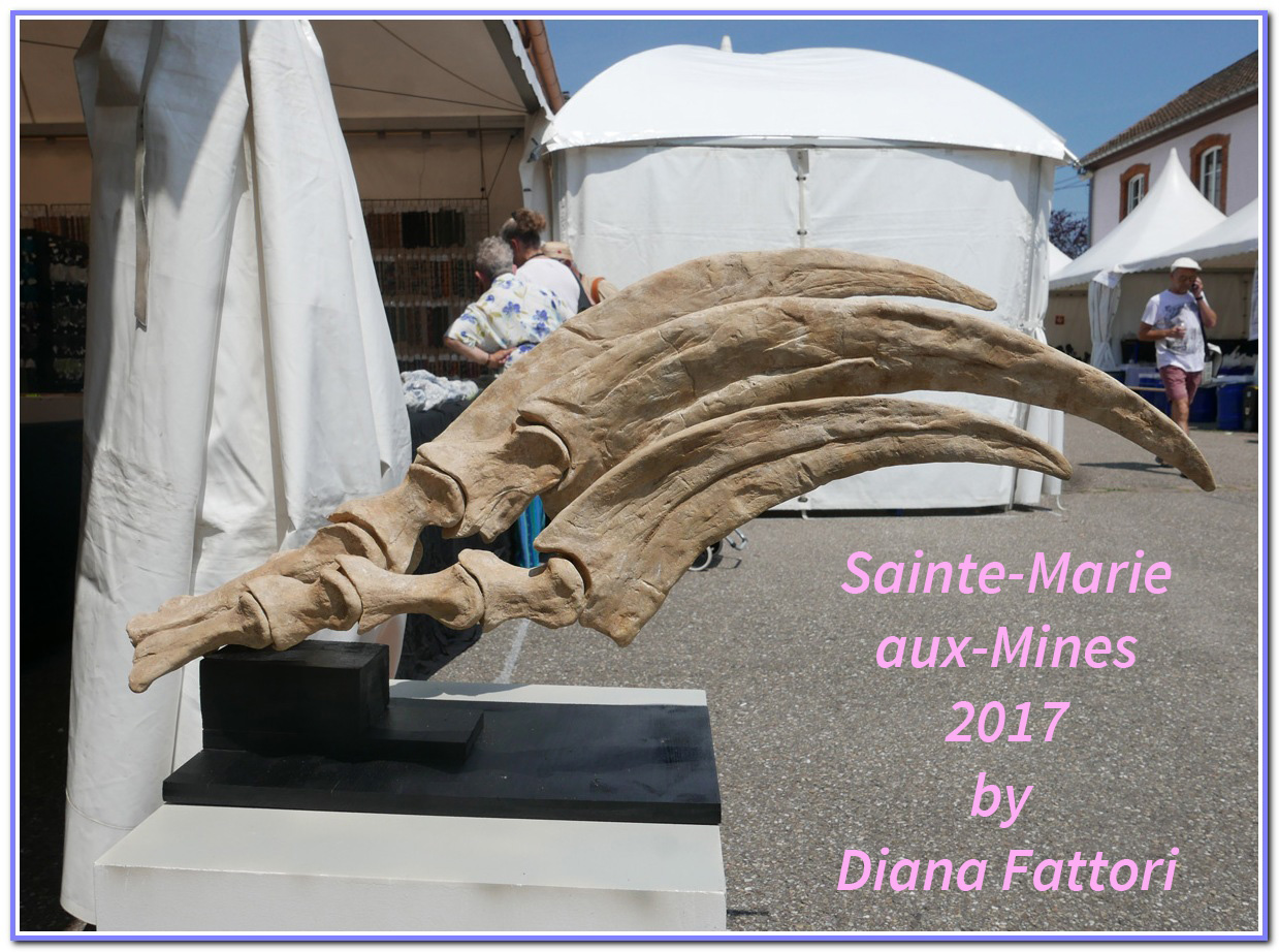 Saintemarie2018 03