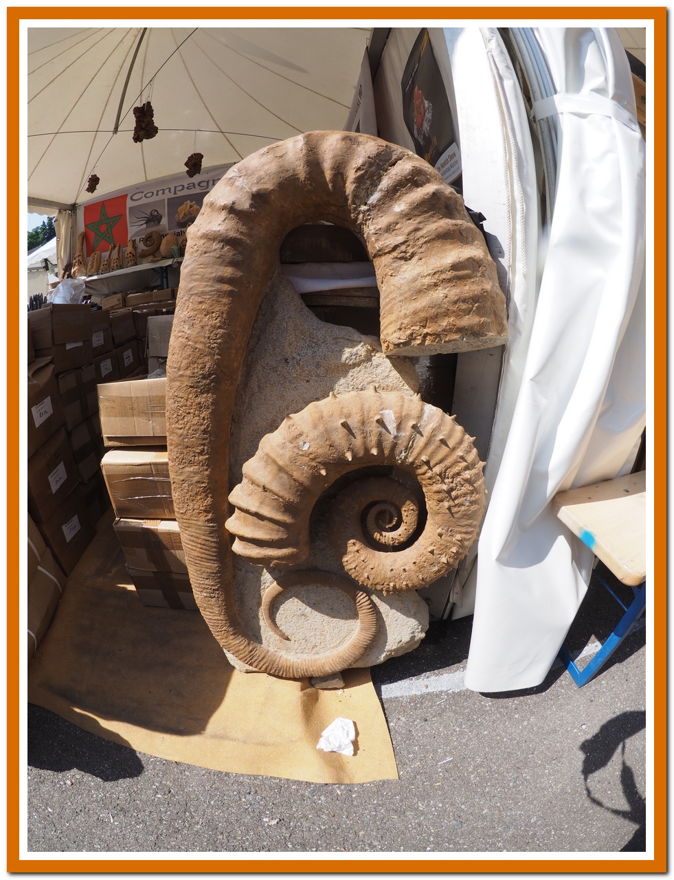 Saintemarie2018 16bis