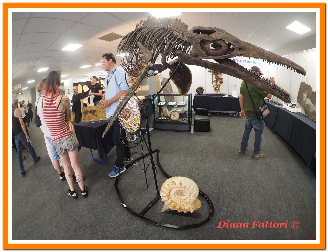 Sainte Marie 2018 03