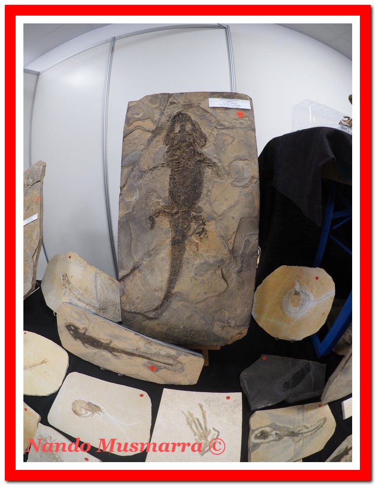 Sainte Marie 2018 04