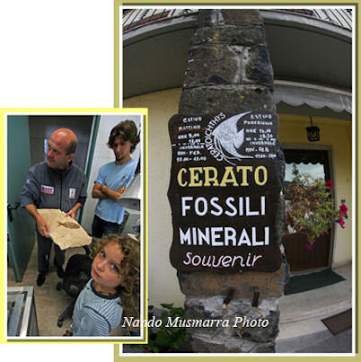 Famiglia Cerato Museo di Bolca
