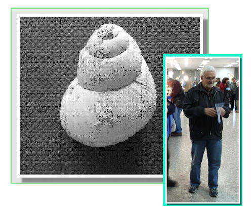 The Dunarobba Fossil Forest (Language ENGLISH)