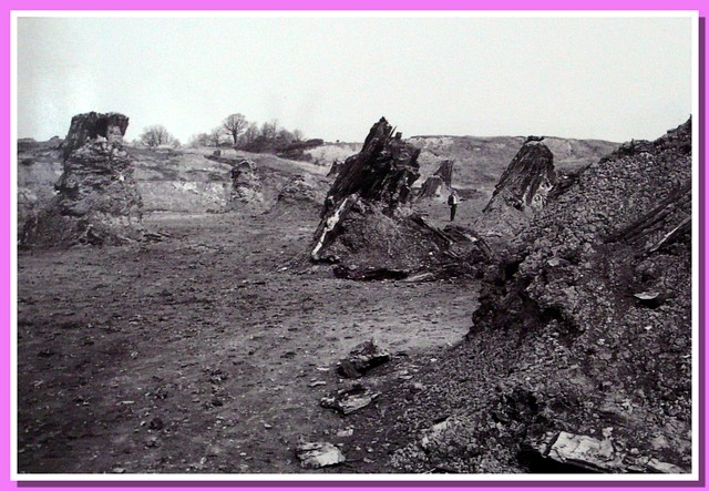 Dunarobba fossil forest in the early 80’s