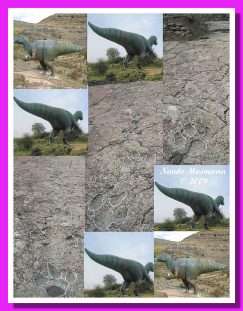 Esempio impronte di iguanotontidi