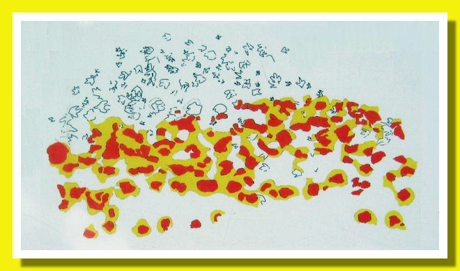 Caos di impronte di dinosauri a 4 zampe