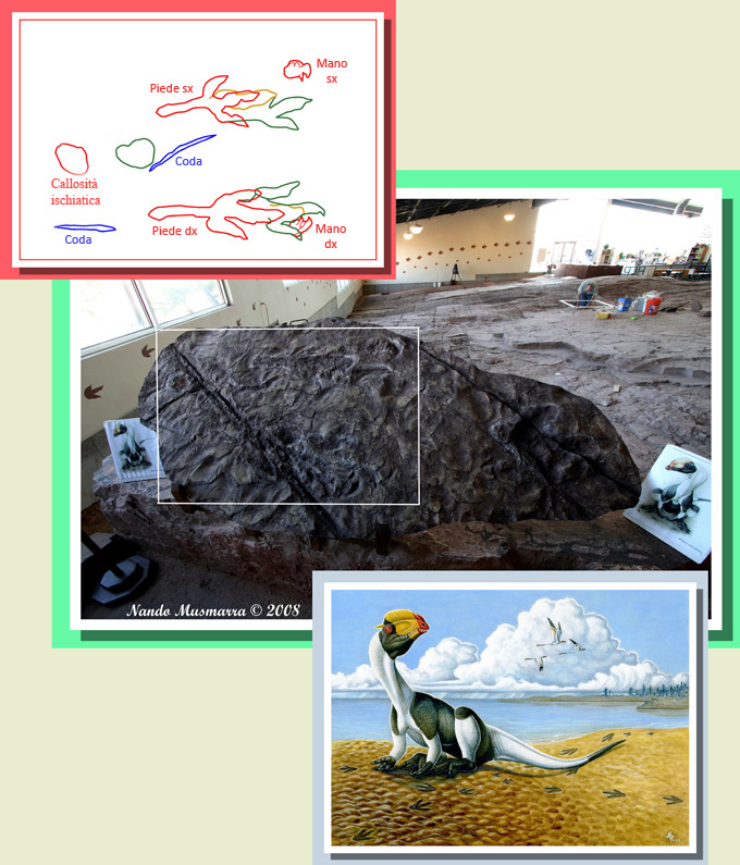 The Resting Dinosaur - Schema