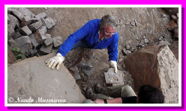 Ritrovamento tartaruga