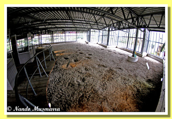 Parte Coperta del Giacimento