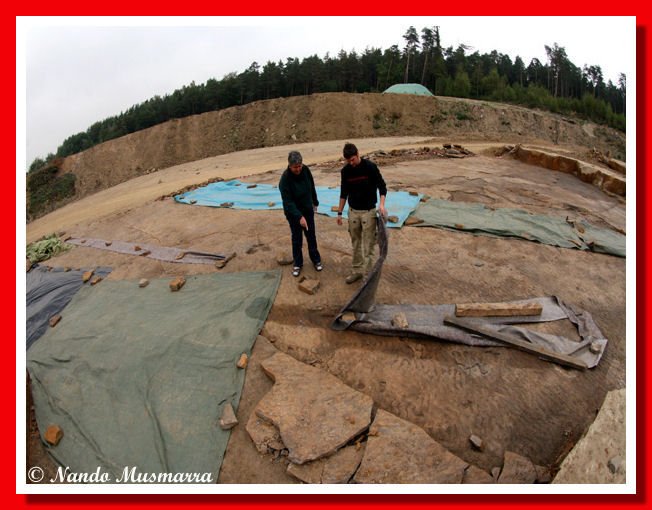 Scoprendo le tracce di dinosauro