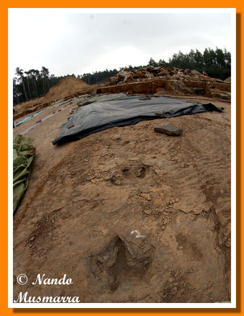 Munchehagen Tracce Dinosauri