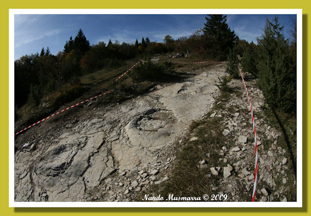 Camminata Sauropode Tracce Sauropode