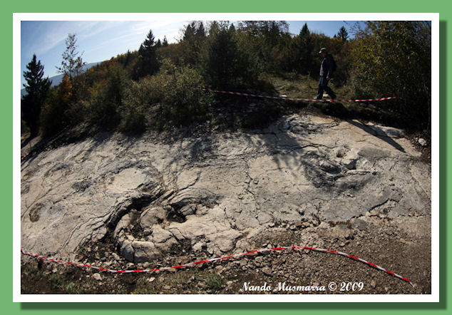 Le tracce di dinosauri di Plagne Tracce di sauropode di grandi dimensioni