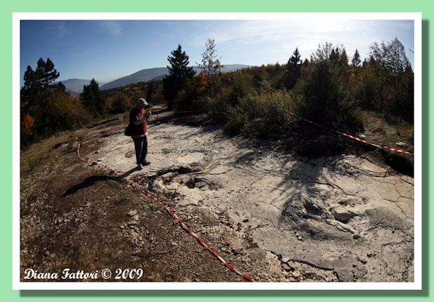 Plagne Superdinosauro Plagne Supersauro