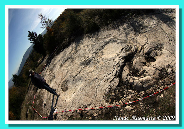 Plagne tracce giganti di dinosauri Plagne foto di tracce