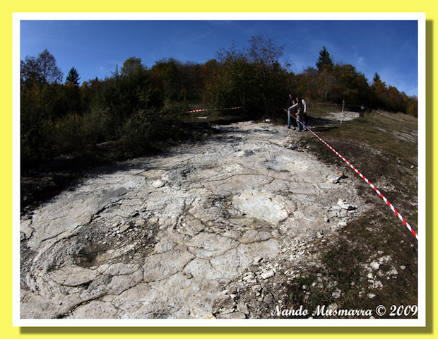 Plagne foto Nando Musmarra Plagne picnic tra i dinosauri
